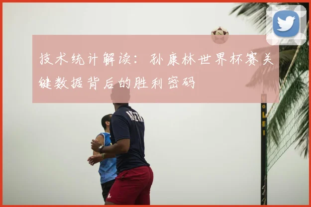 技术统计解读：孙康林世界杯赛关键数据背后的胜利密码