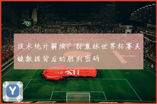 技术统计解读：孙康林世界杯赛关键数据背后的胜利密码